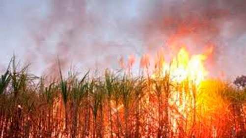 int incendio