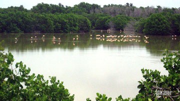 Ecosistemas cayería norte 