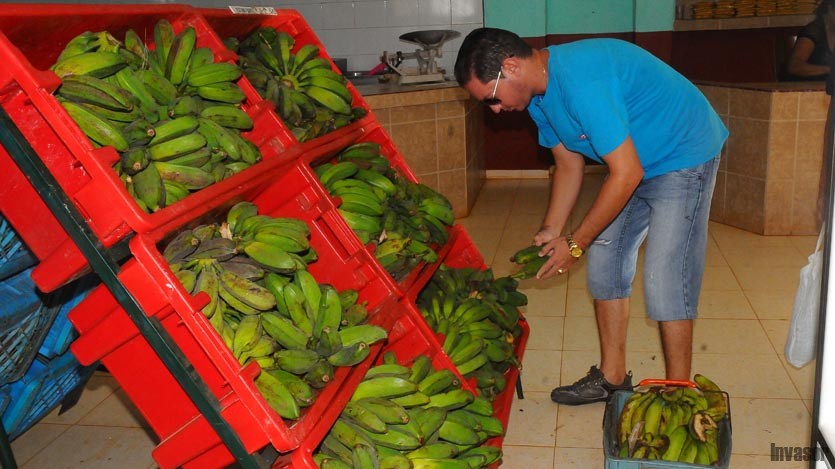 Los platanos que antes rechazábamos
