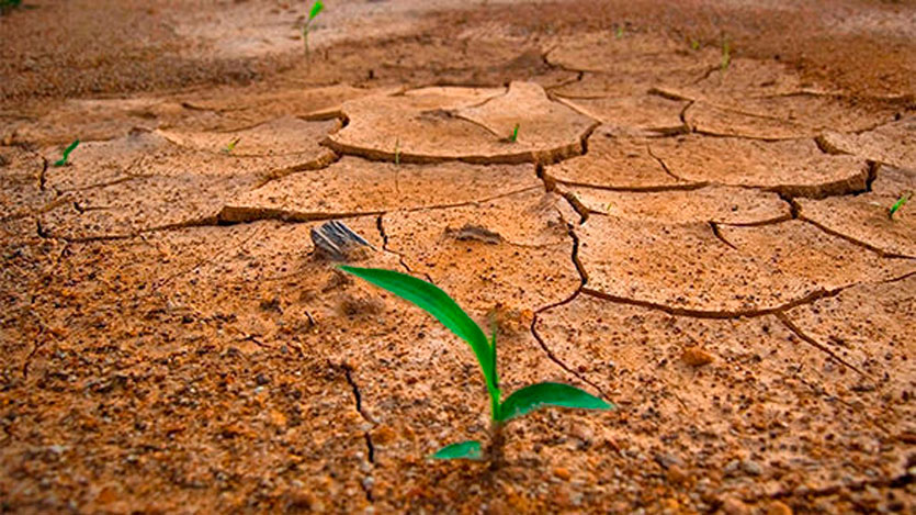 cambio climático