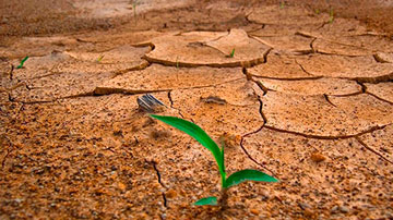 cambio climático