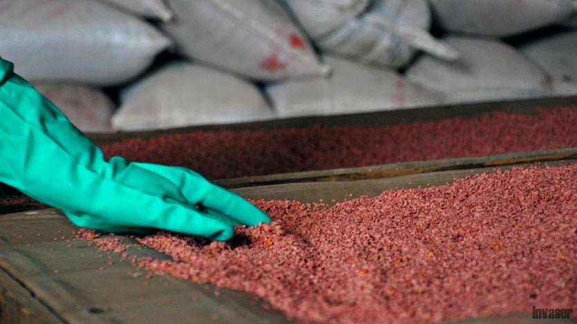 Empresa Comercializadora Productora de Semillas