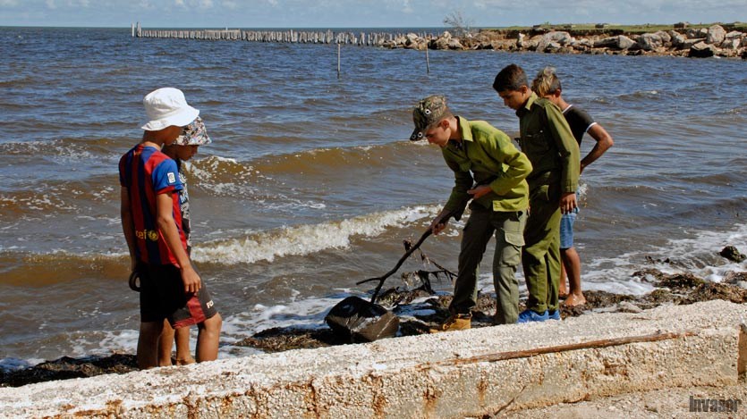 Actividad antidrogas en Punta Alegre