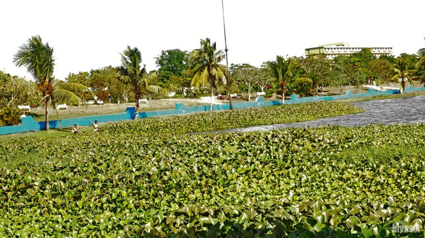 parque de la ciudad