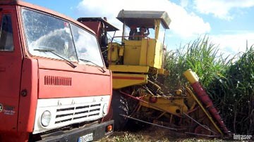 Camión y cañera en el campo