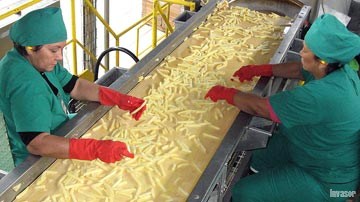 Elaboración de las papas prefritas