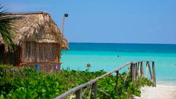 Floresta de Jardines del Rey