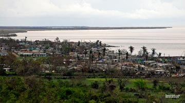Tarea Vida Punta Alegre