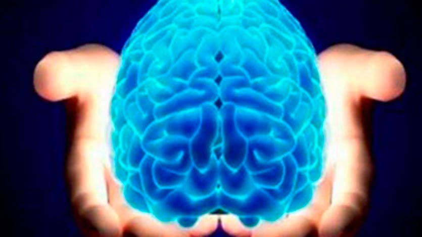 Cerebro