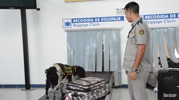 Oficial de aduana y su perro 