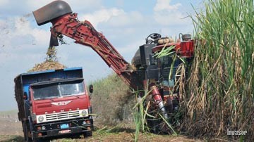 Zafra en Ciego de Ávila