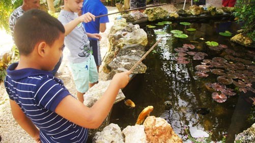 Acuario de Morón