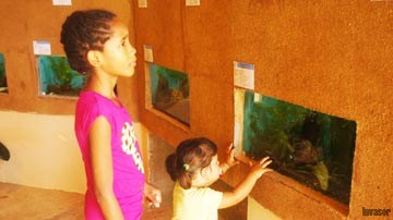 Personas mirando la pesera