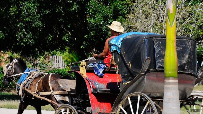 Coche de caballo