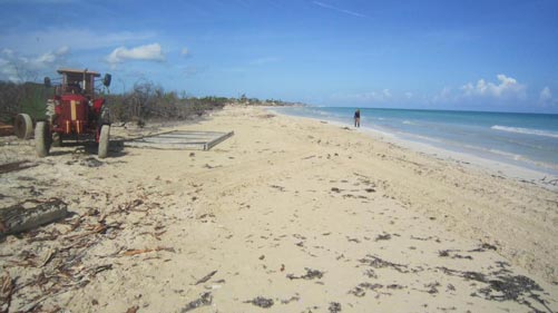 Playa larga Iberostar Mojito