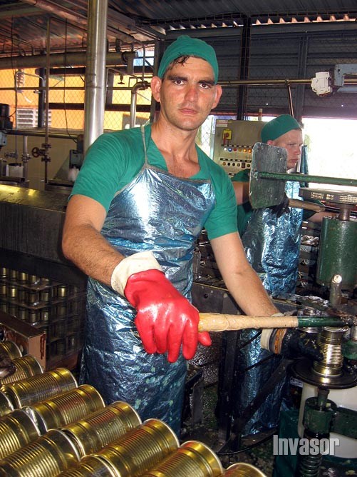 Minindustria de Ceballos