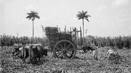 Tiempo muerto en Cuba