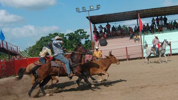 Rodeo en Ciego de Ávila