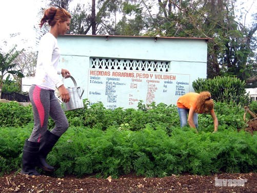 Áreas Básicas de Producción