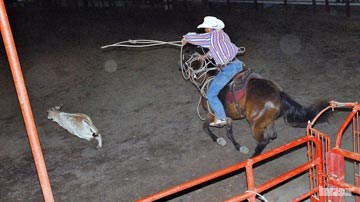 vaqueros de Ciego de Ávila
