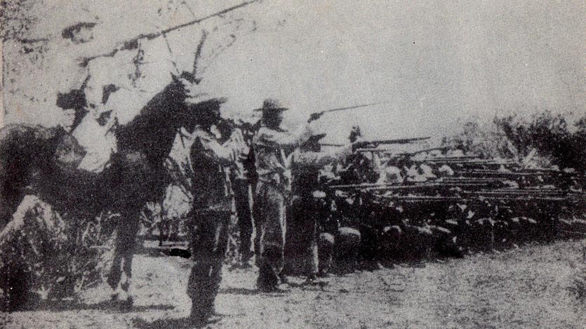 Infantería