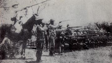 Infantería
