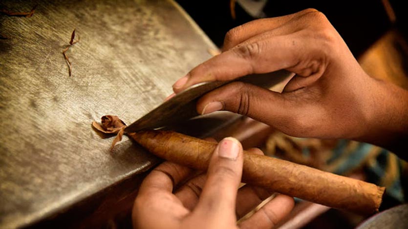 Persona cortando un habano