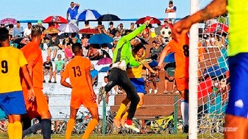 Tiburones lideran