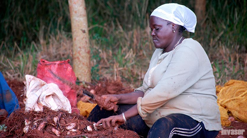 mujer en labores agrícolas