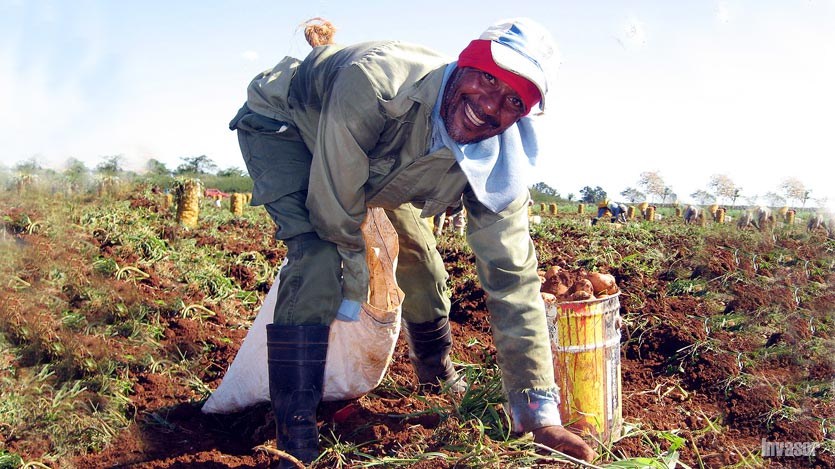 Adonis Bahade agricultor con discapacidad