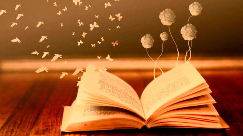 Libro del que salen mariposas