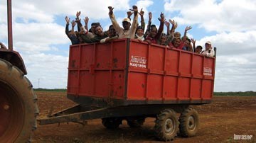 jóvenes en labores agrícolas