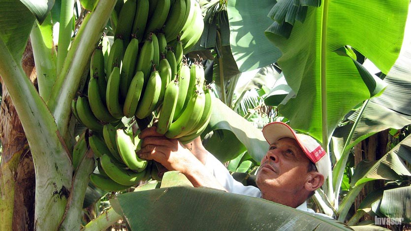  Empresa Agropecuaria La Cuba