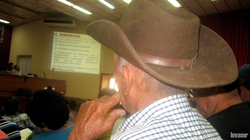 Campesino