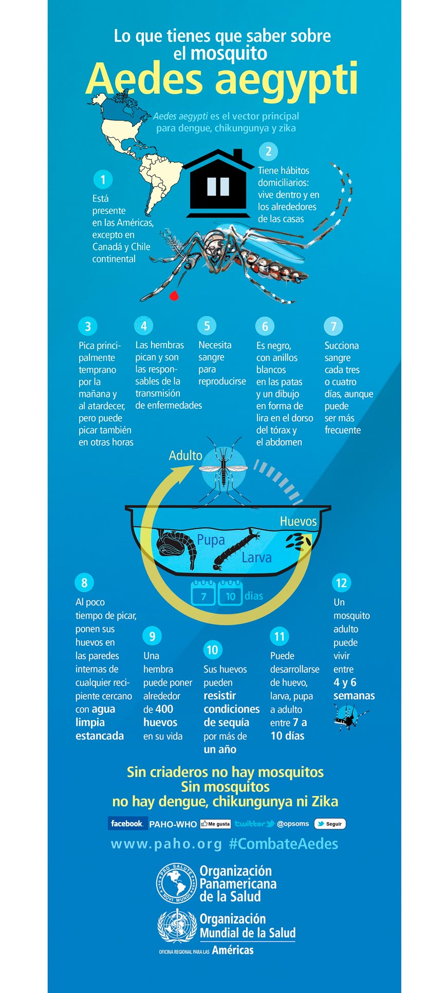 Infografía