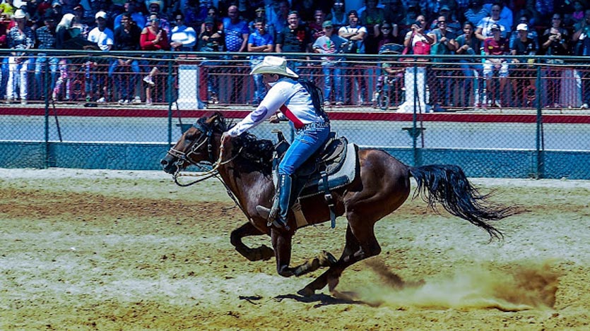Rodeo