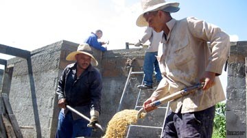 Obreros trabajando