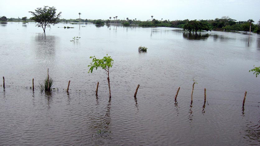 Cerca cubierta por el agua