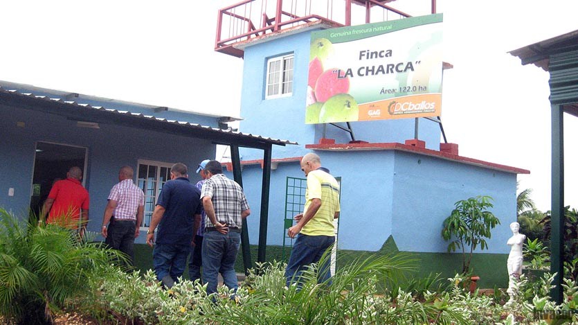 Tienda