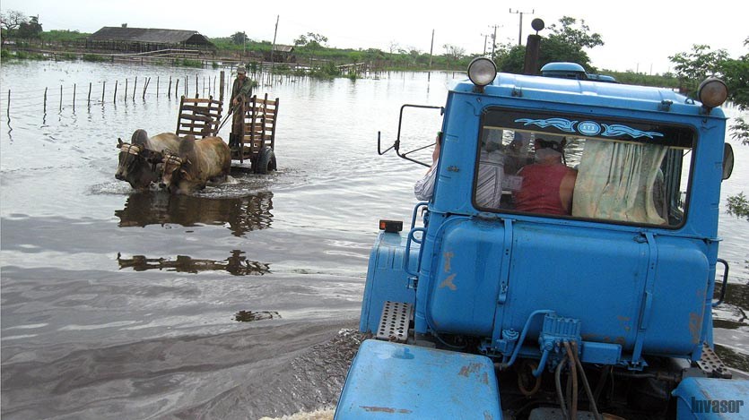 Carreta de bueyes transitando por una zona inundada