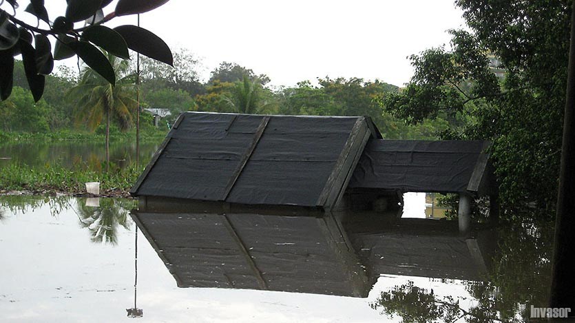 Casa con agua ras del techo
