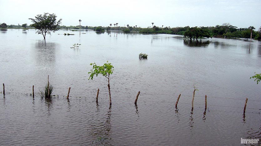Potrero inundado