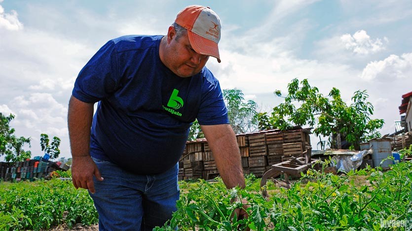 Agricultor