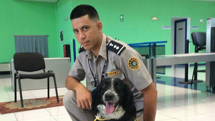 Trabajador de la aduana