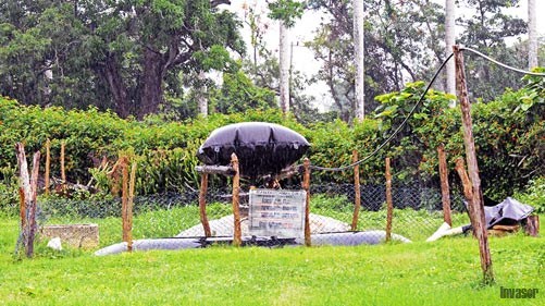 Biodigestor