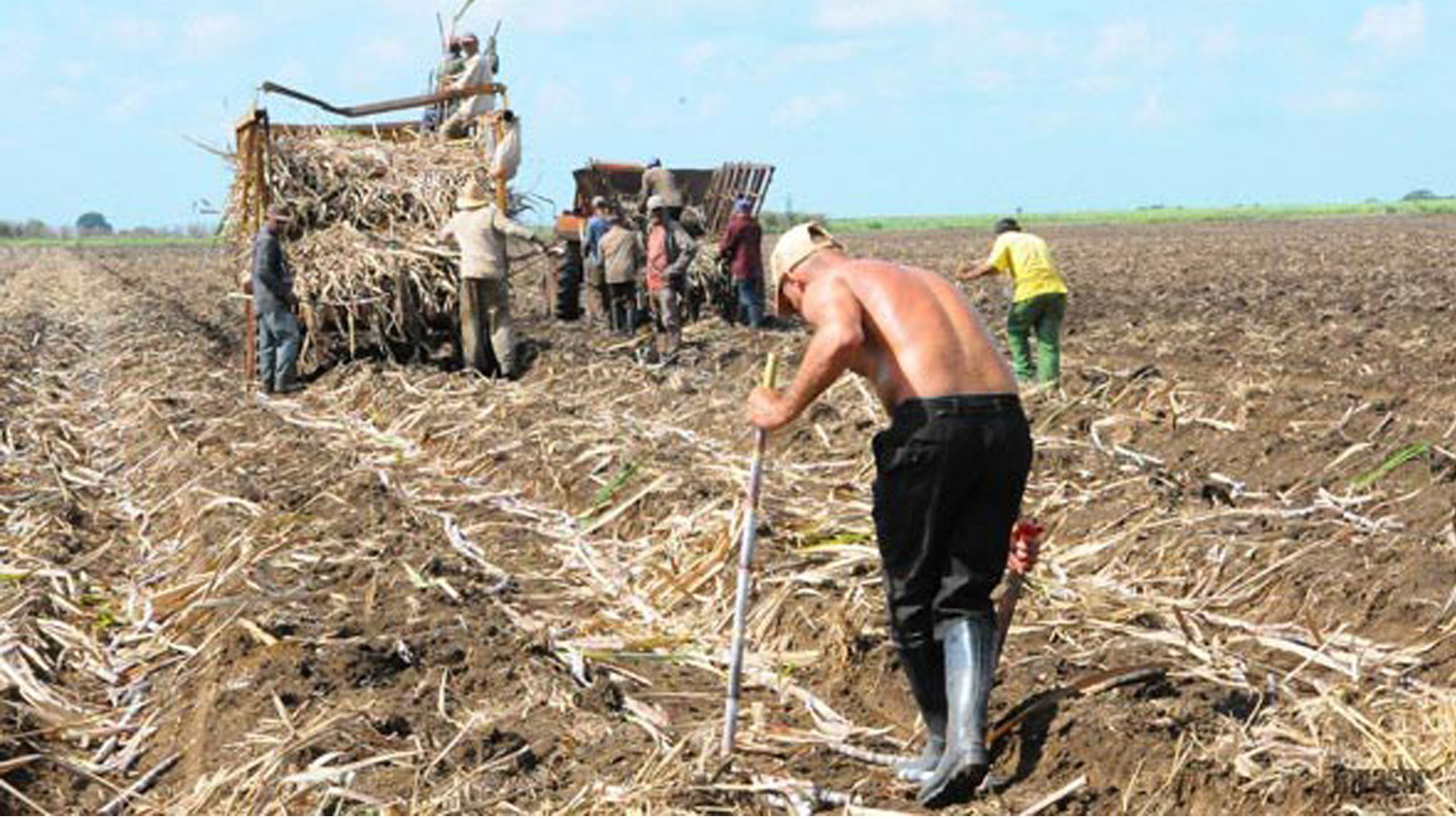 Tierra para siembra de caña