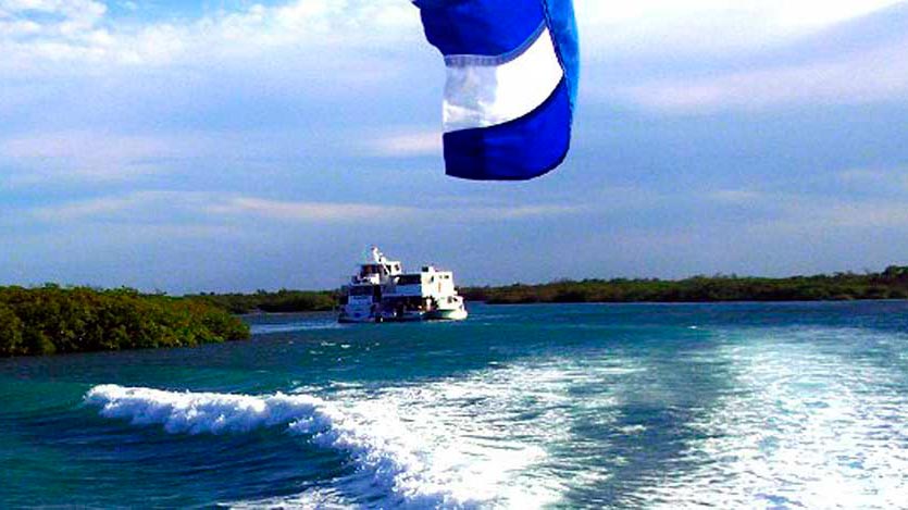 Jardines del Rey