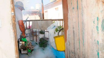 Hombre fumigando