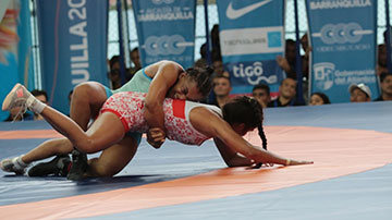 Combate de lucha libre