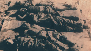 Rebeldes asesinados